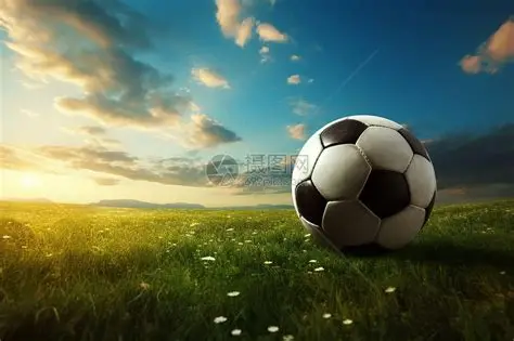 开云·KAIYUN(中国)官网 - 集团唯一入口